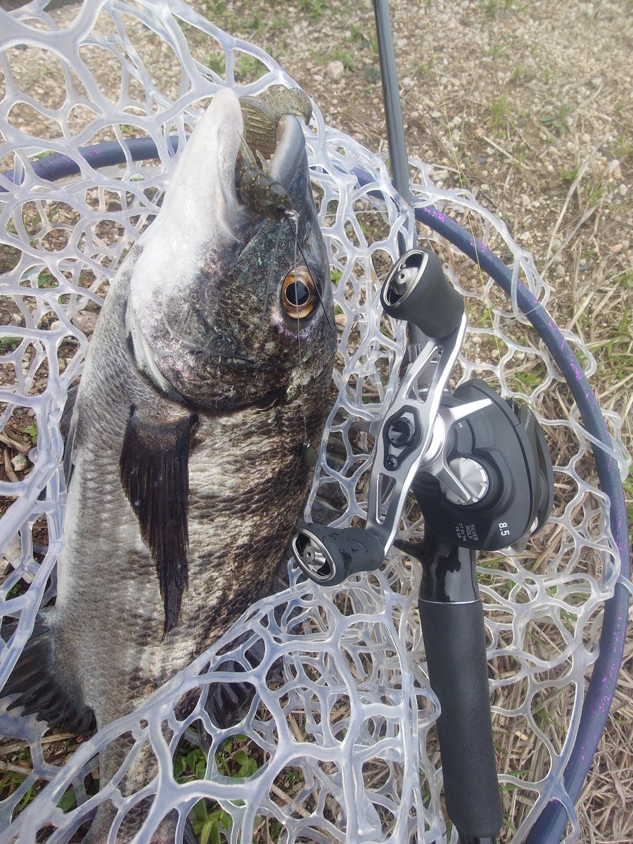 もりぞー (@morizo57) / Posts / X