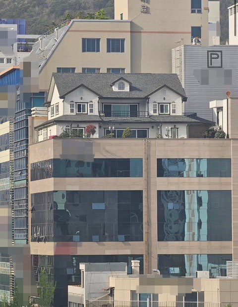 마젤란 tweet media