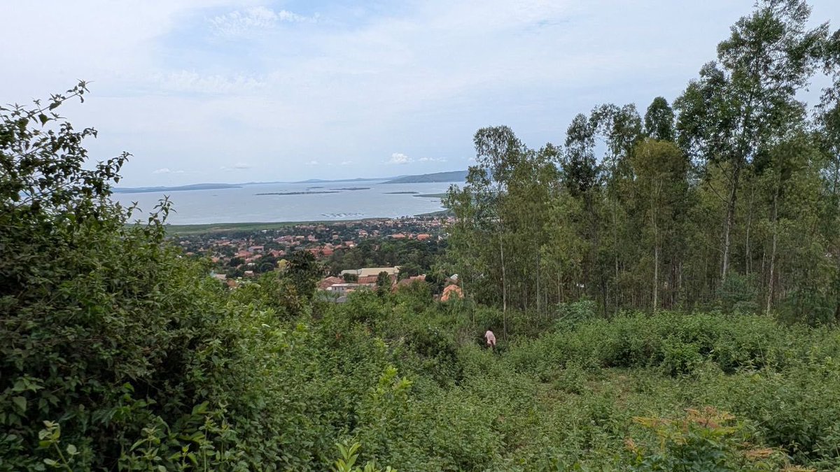 tic_ber2's tweet photo. Lake View Land for Sale – Jinja City (Bugembe)

Location: Bugembe, Jinja City
Proximity: Near Kyabazinga Palace and Wanyange Girls’ School
Plot Size: 100 ft x 100 ft (Approx. 25 Decimals)
Tenure: Freehold Title
Price: 65M. UGX

Has a beautiful Lake view suitable for businesses https://t.co/g1cEcnYIIW