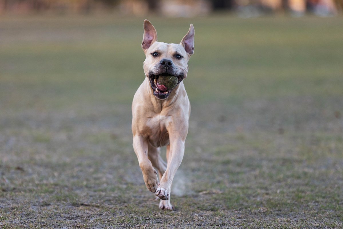 Samuel Bennett 📸: 🔜 MAJOR II tweet media