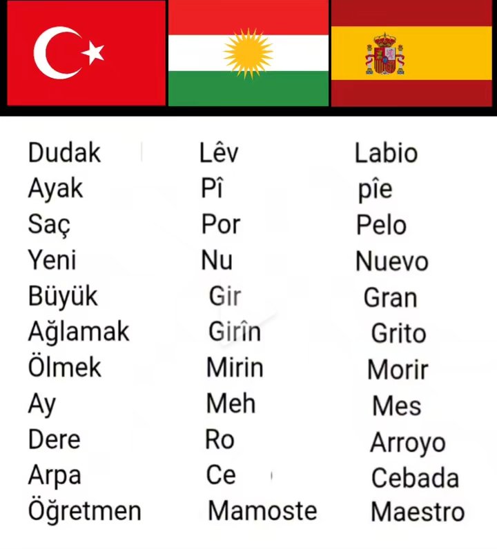 İspanyolca öğreneyim derken aslında Kürtçe bildiğimi fark etmişimdir... 😂 😁

Şaka bir yana, dil ailelerinin ortak hafızası gerçekten muazzam. Mamoste mi, Maestro mu? 🧐"

Mientras intentaba aprender español, me di cuenta de que sí sabía kurdo... 😂 😁

Bromas aparte, la memoria
