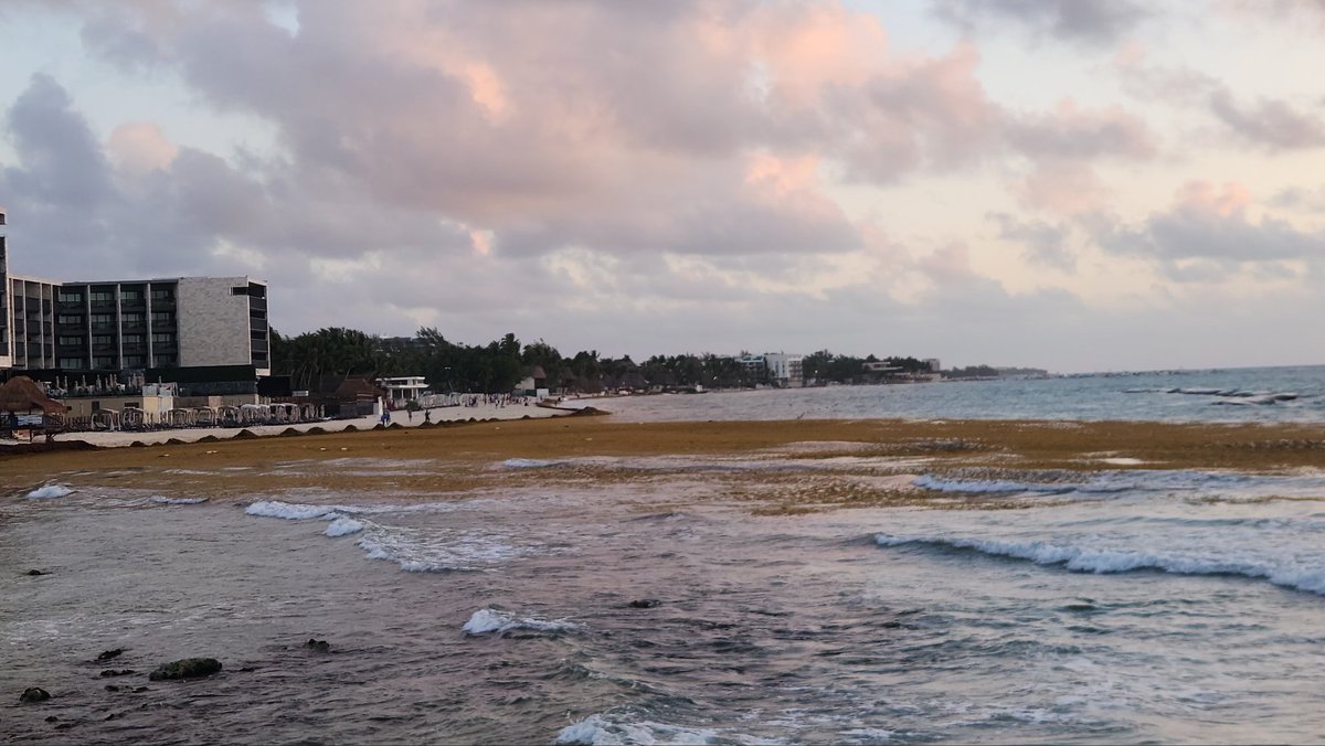 HARVIN.... tweet media