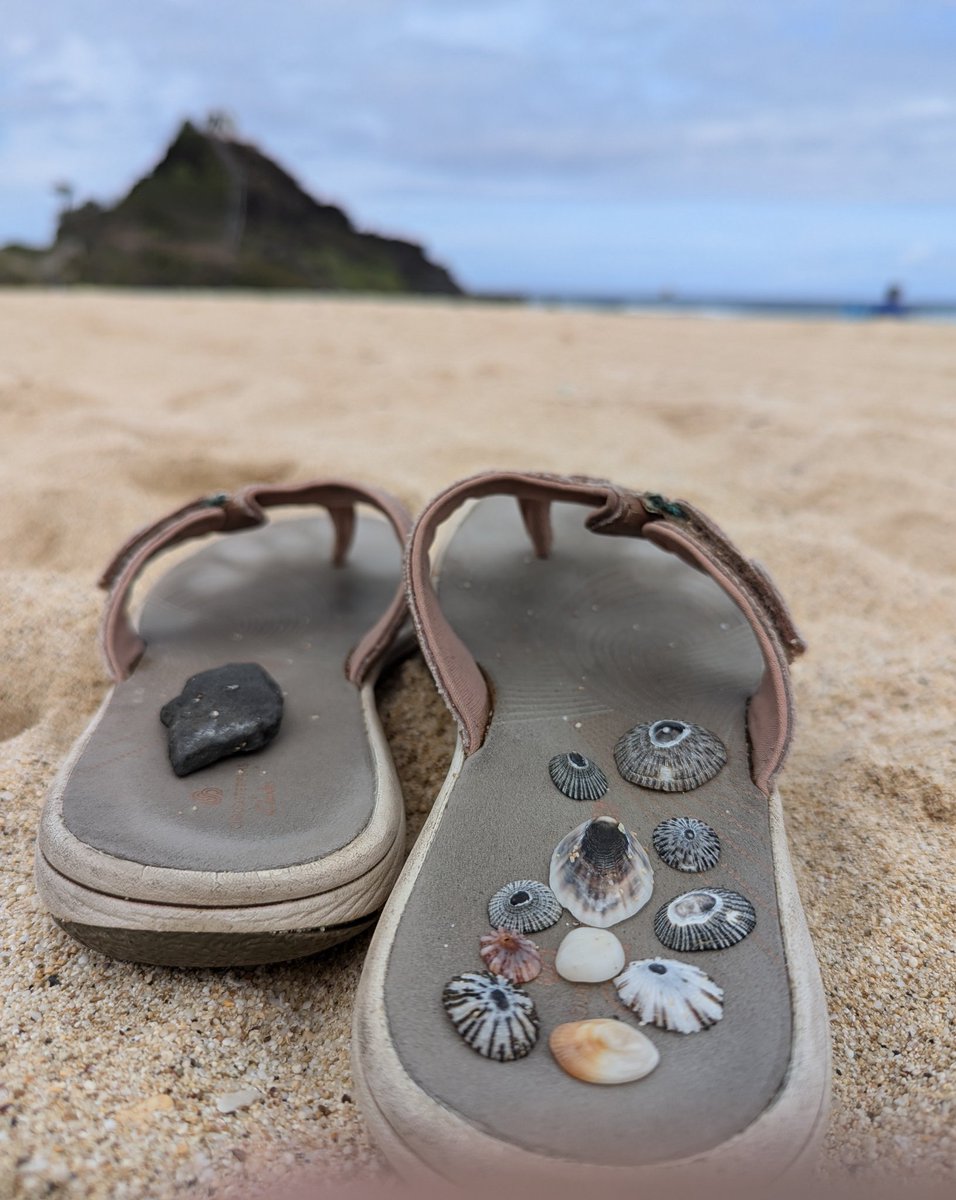 Fit🌞Life🌞Travel tweet media