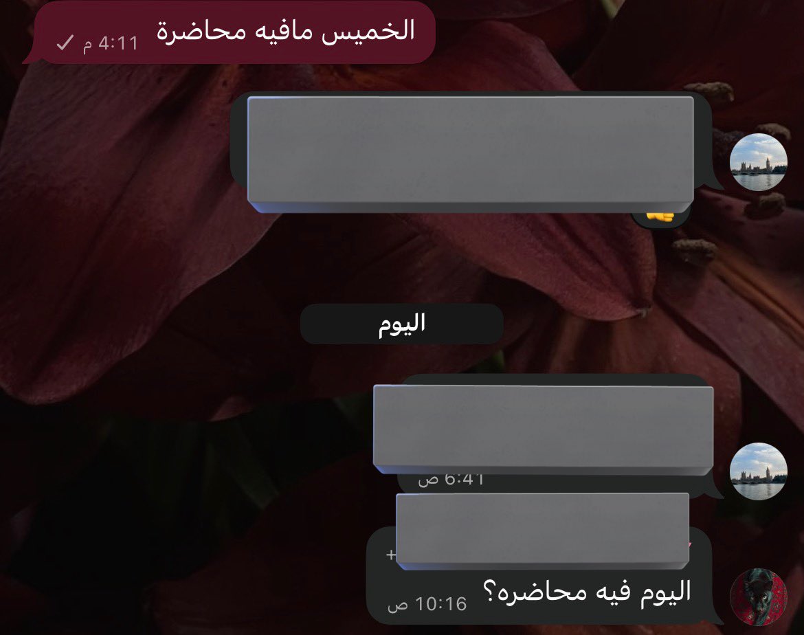 فوفا tweet media