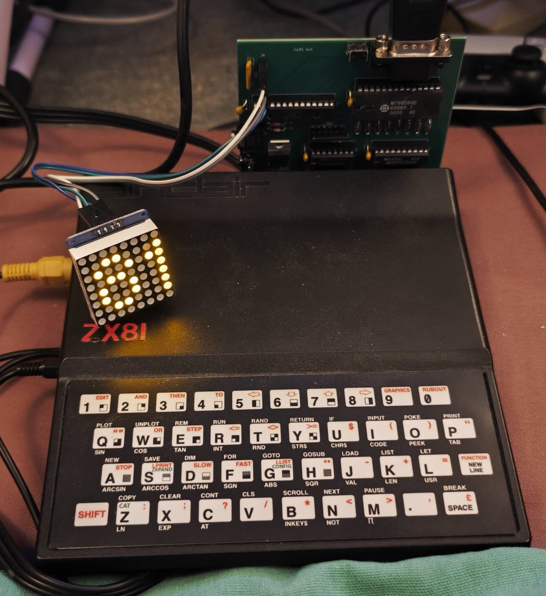 System11 tweet media