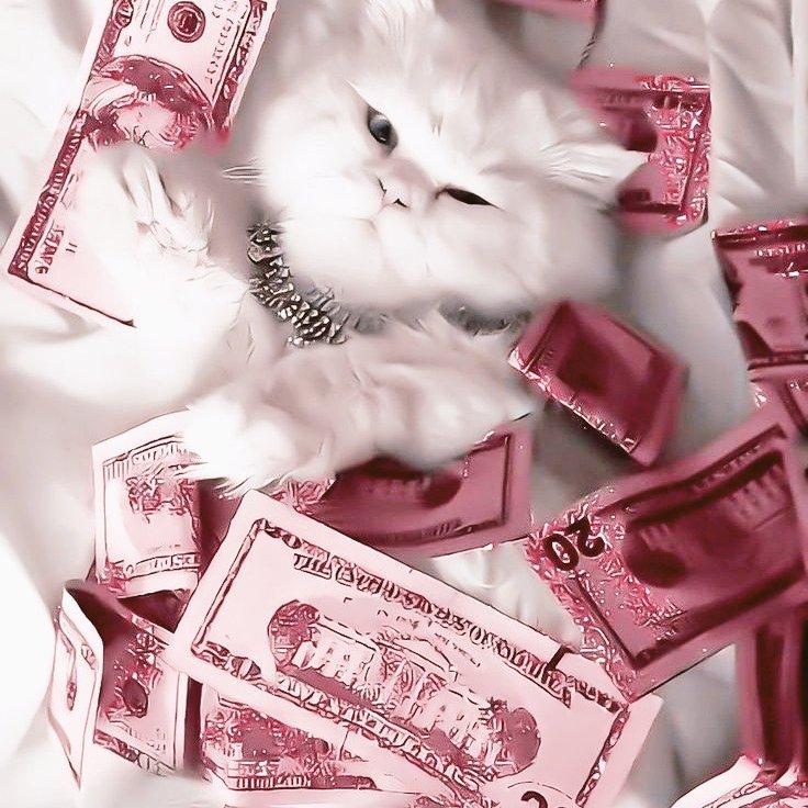 DragonEmuLi's tweet photo. Money, money money!... I love you so much I could die without you!!!  (˶˃⤙˂˶) https://t.co/mja3A2K6N6