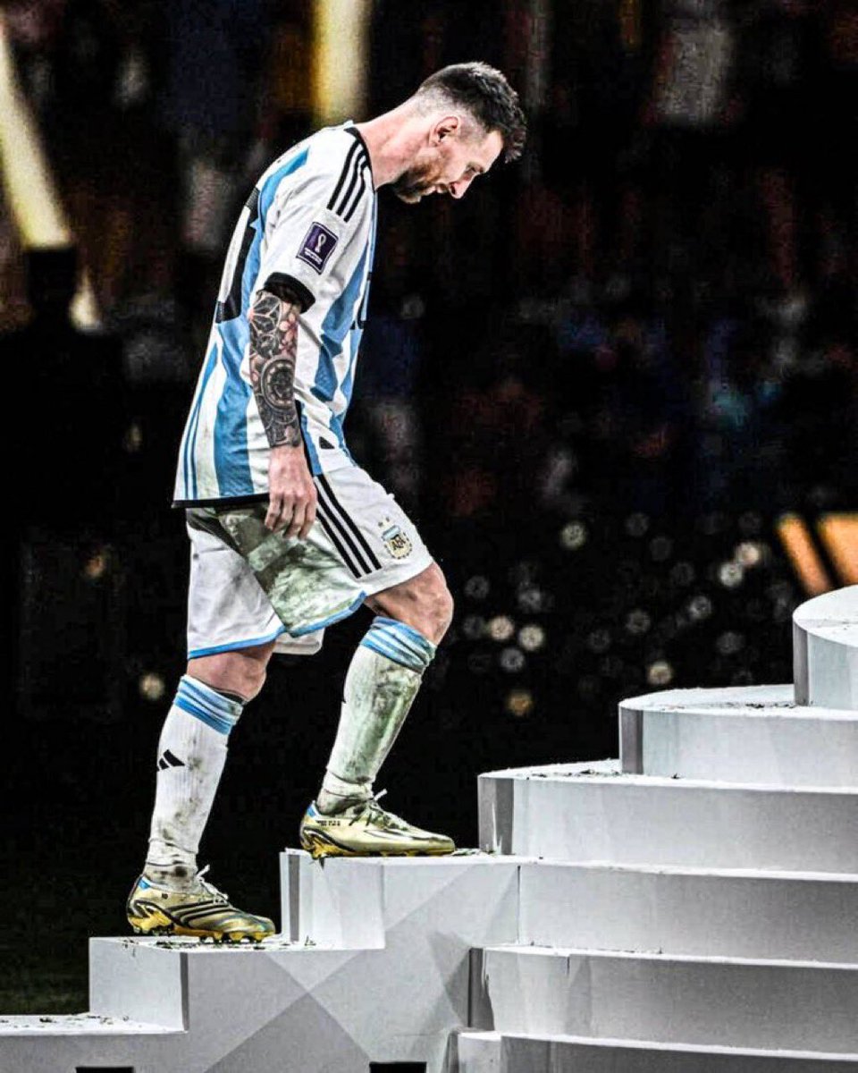 Sebastian⭐ tweet media