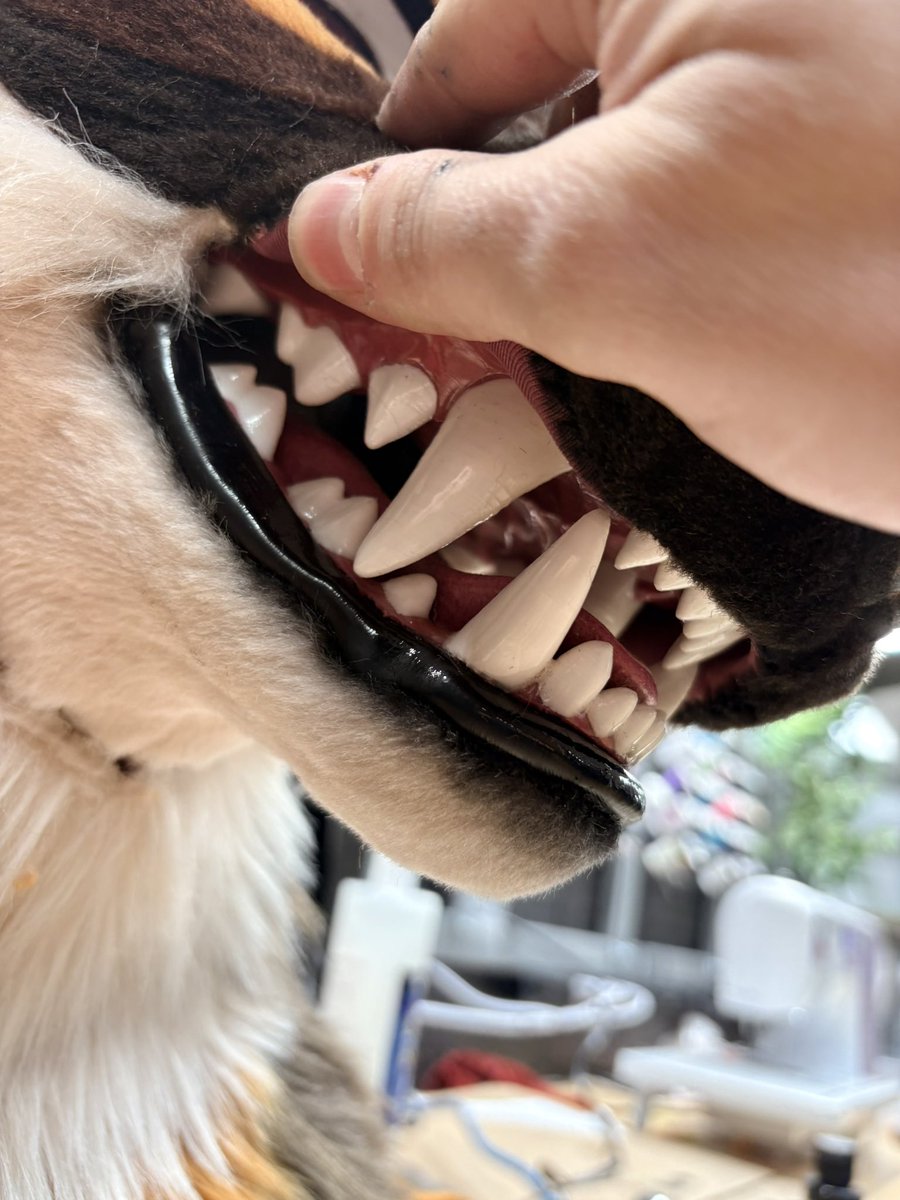 Yazur's Critters Hub 🐾 tweet media