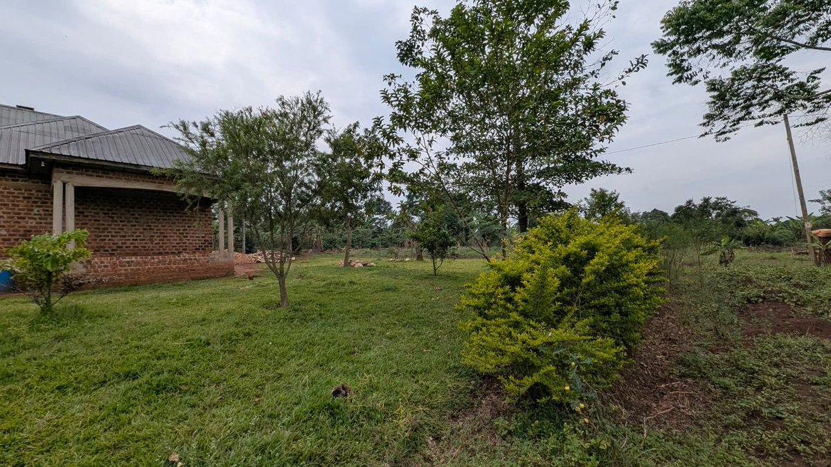 tic_ber2's tweet photo. Incomplete Home for Sale – Wakiso, Bakka Town

Construction Stage: Finishing &amp; Exterior Works Pending
Bedrooms: 5
Bathrooms: 4
Land Size: 1.5 Acres
Location: Wakiso – Bakka Town (Approx. 10 km off the main road)
Last Price: UGX 105M

Ideal for private residence, agricultural use https://t.co/5wex9p3PLX
