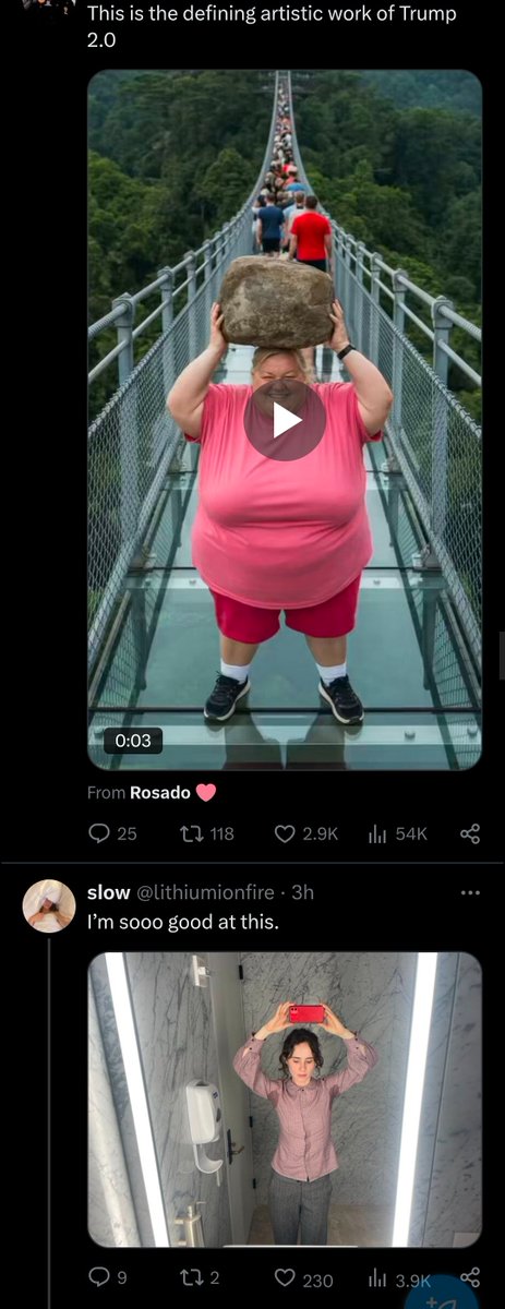 scruffysloth0's tweet photo. @lithiumionfire I guess this is my algorithm now https://t.co/J45rHKrjtT