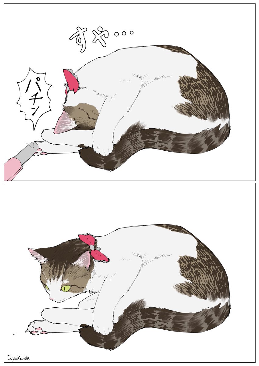 🏙にゃにゃ🐈🐥 (@Carrotshirix2) / Posts / X