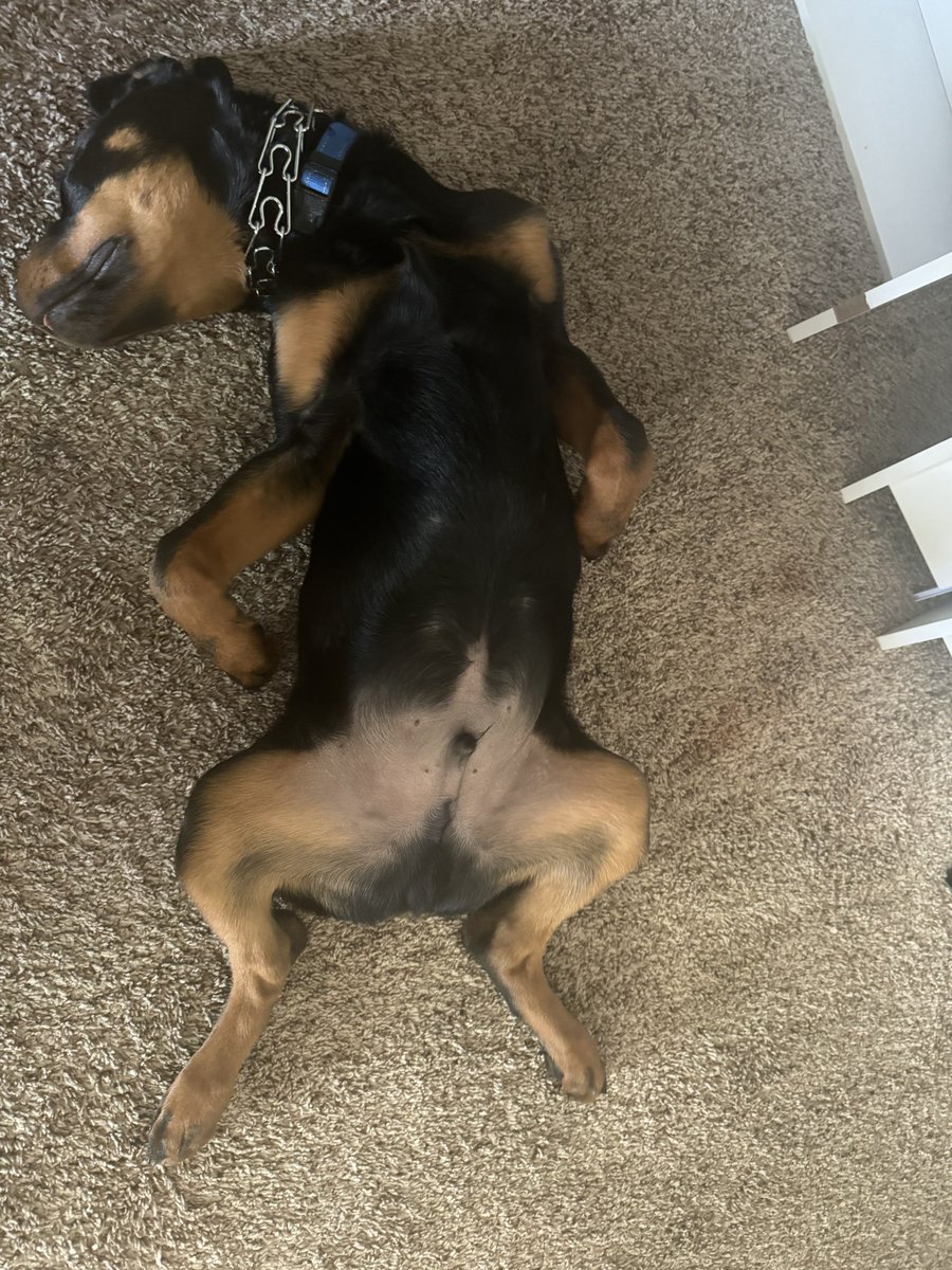 Noah(Abyss) tweet media