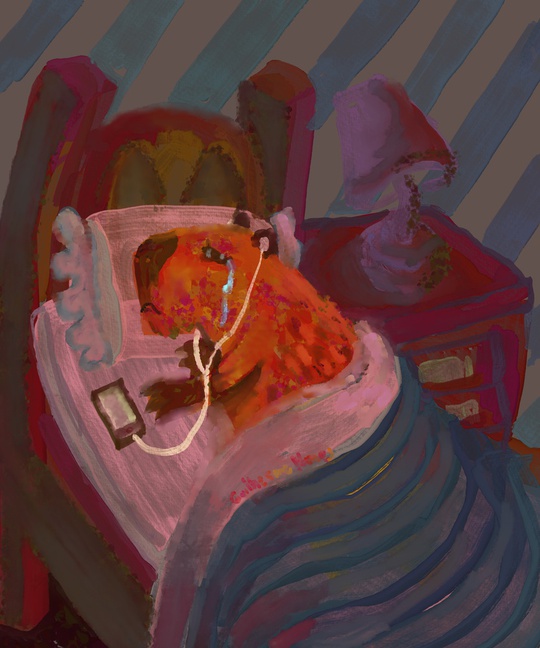 Guilherme Nunes tweet media