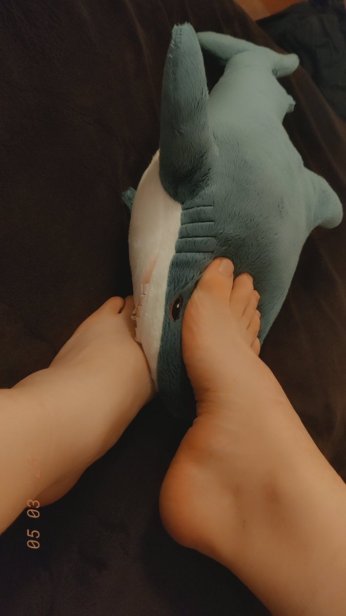 stazy ._. tweet media