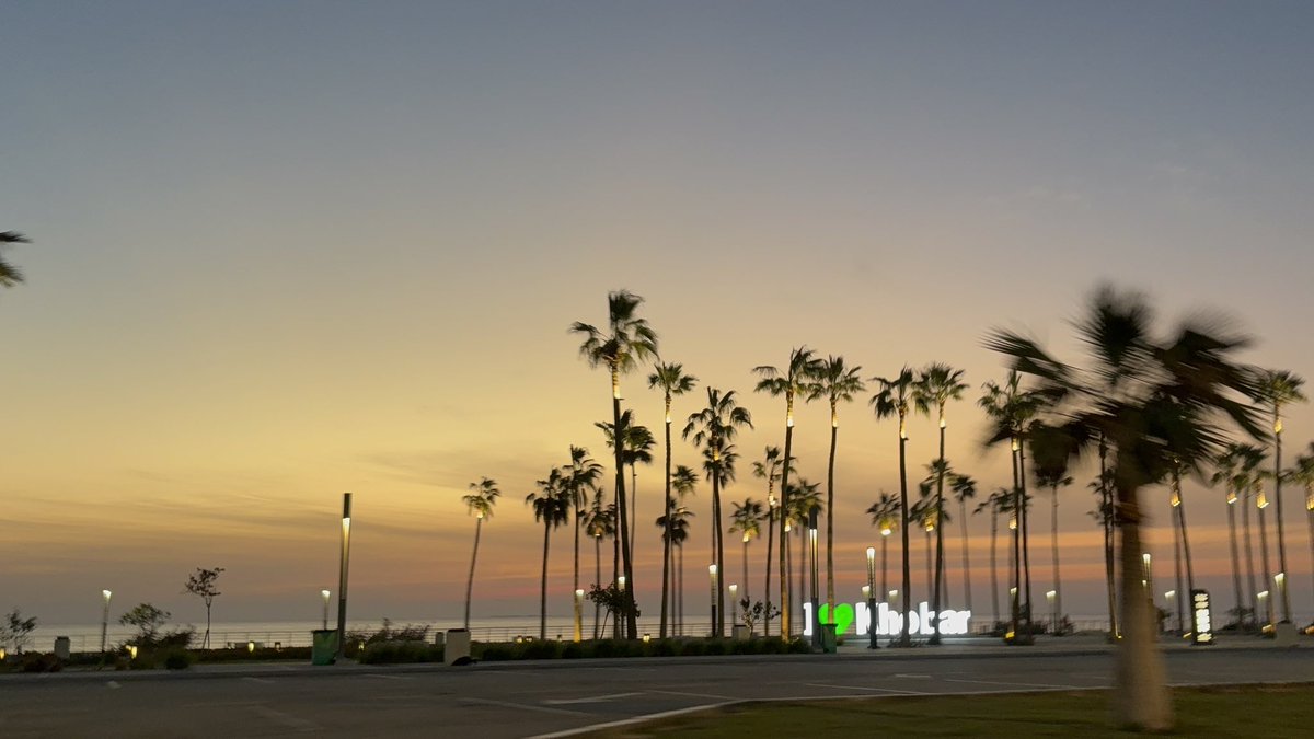 Meme🌟. tweet media