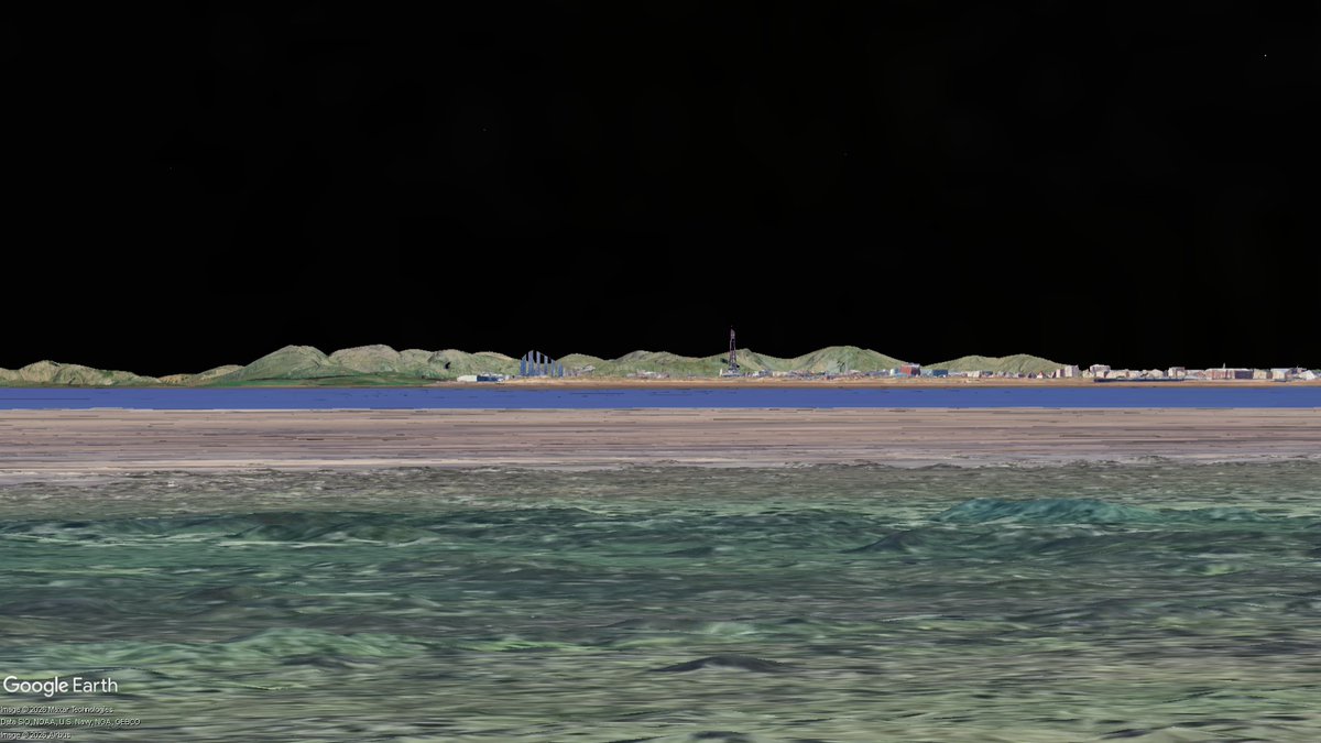 Bruised Ferret tweet media