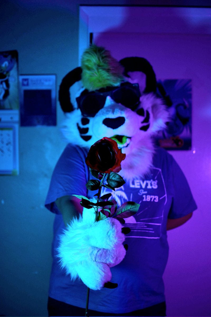 Zëkey Hache tweet media