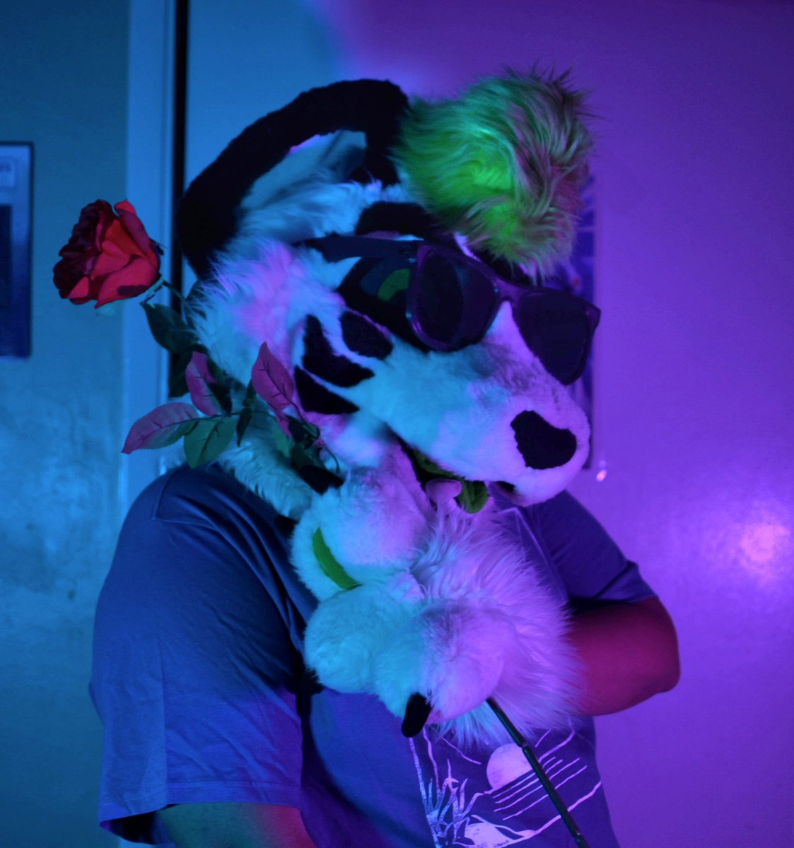 Zëkey Hache tweet media