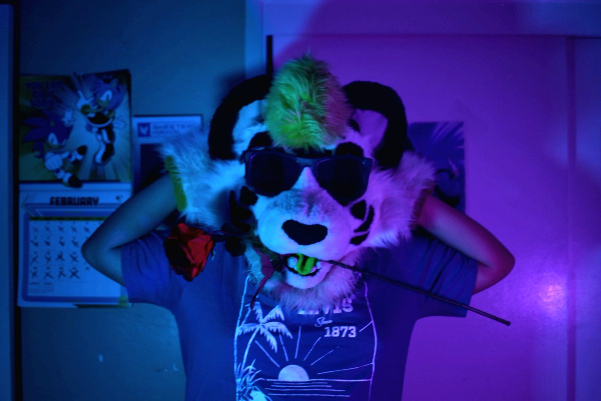 Zëkey Hache tweet media