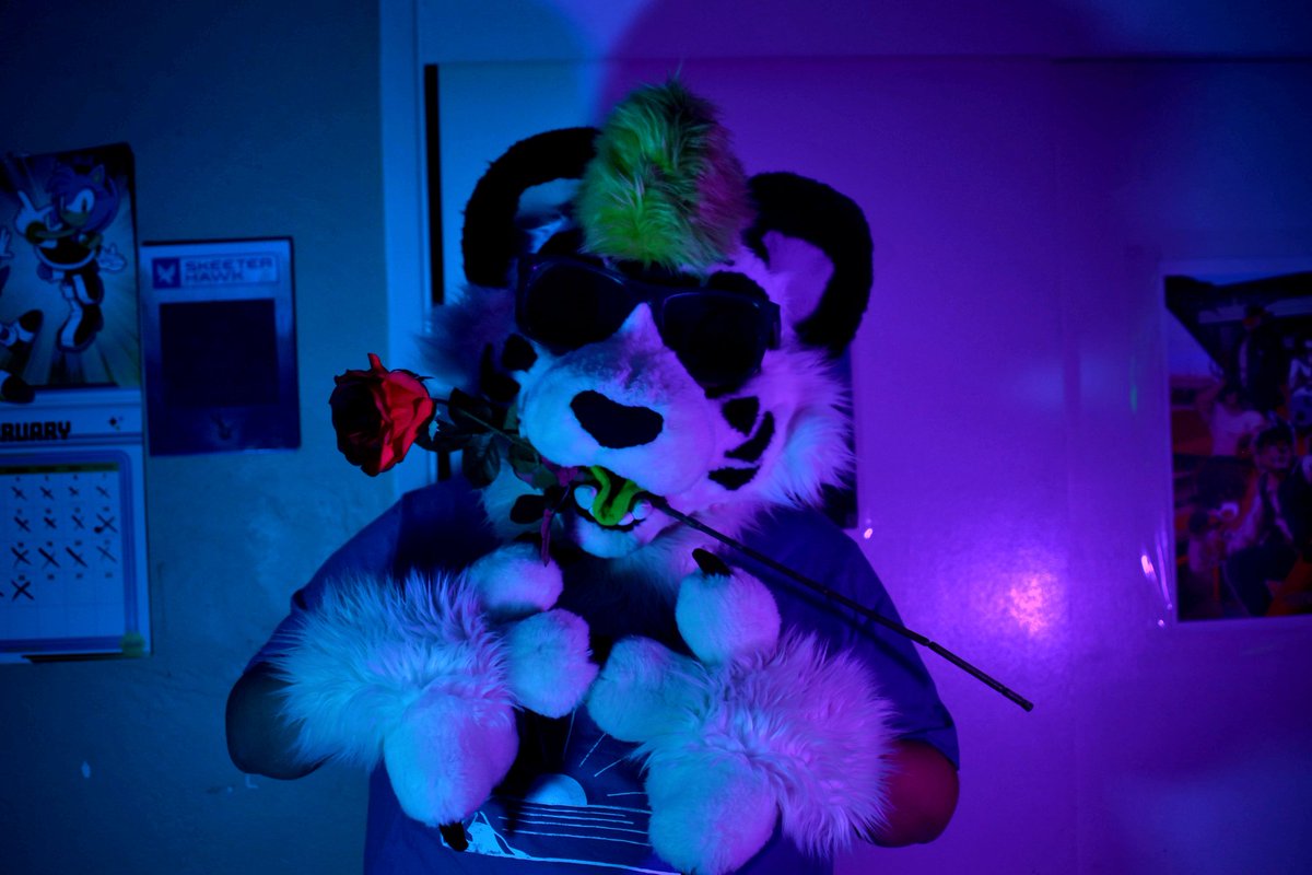 Zëkey Hache tweet media