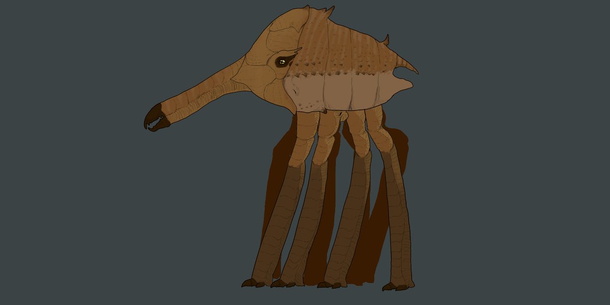 A creature from the ocean, and a creature from the deserts #SpecEvo