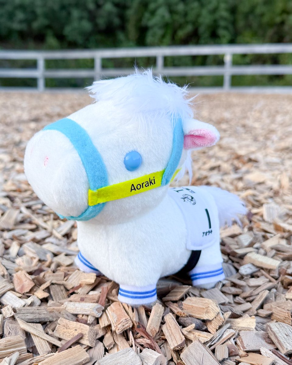 「TCC 広報大使」アオラキ ぬいぐるみ　馬 🎉完売御礼🎉 本日販売した 「TCC広報大使 アオラキ」ぬいぐるみ