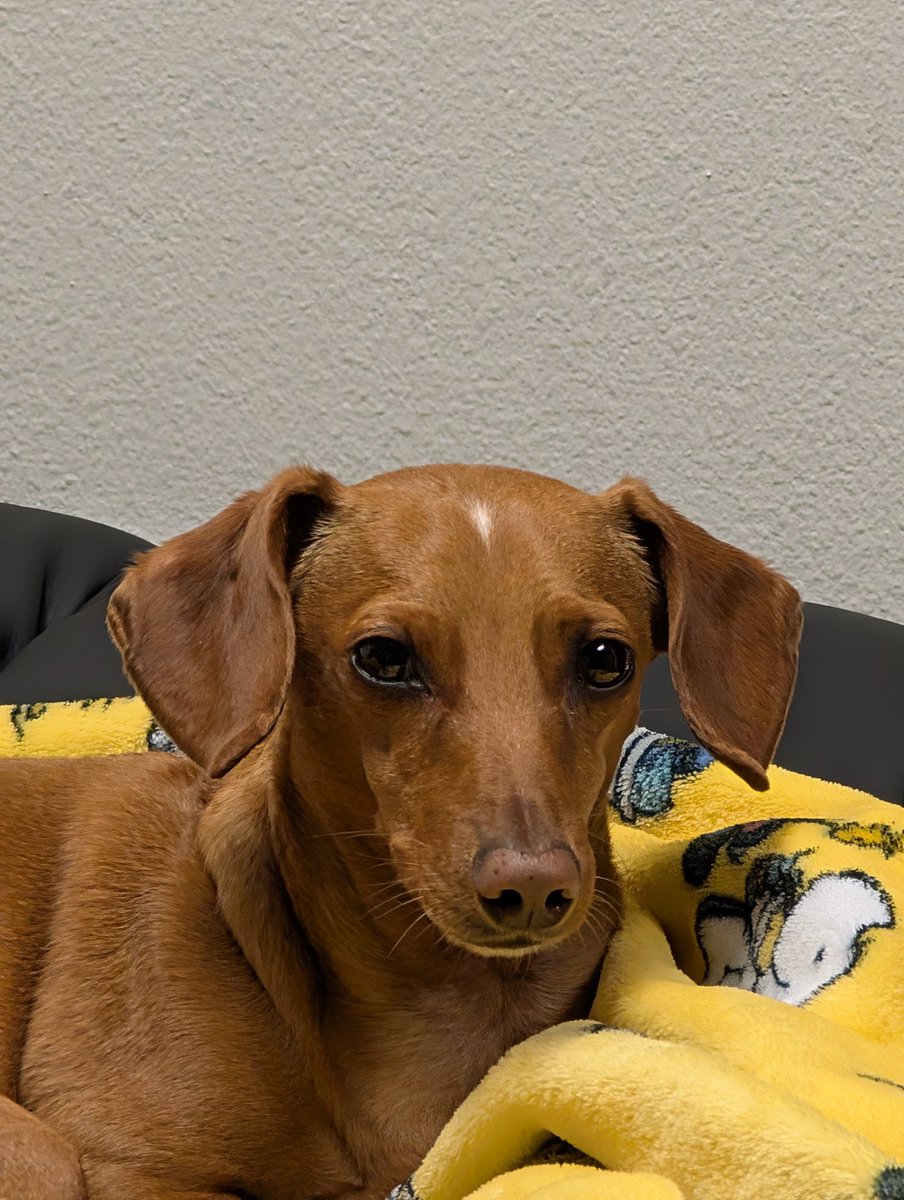 Retro_Active_ tweet media