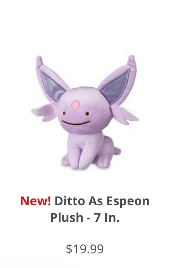 bucky (•ᴥ•ʋ) tweet media