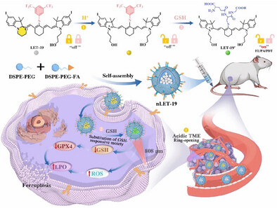 Aggregate tweet media