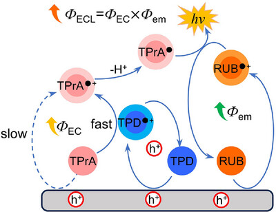 Aggregate tweet media