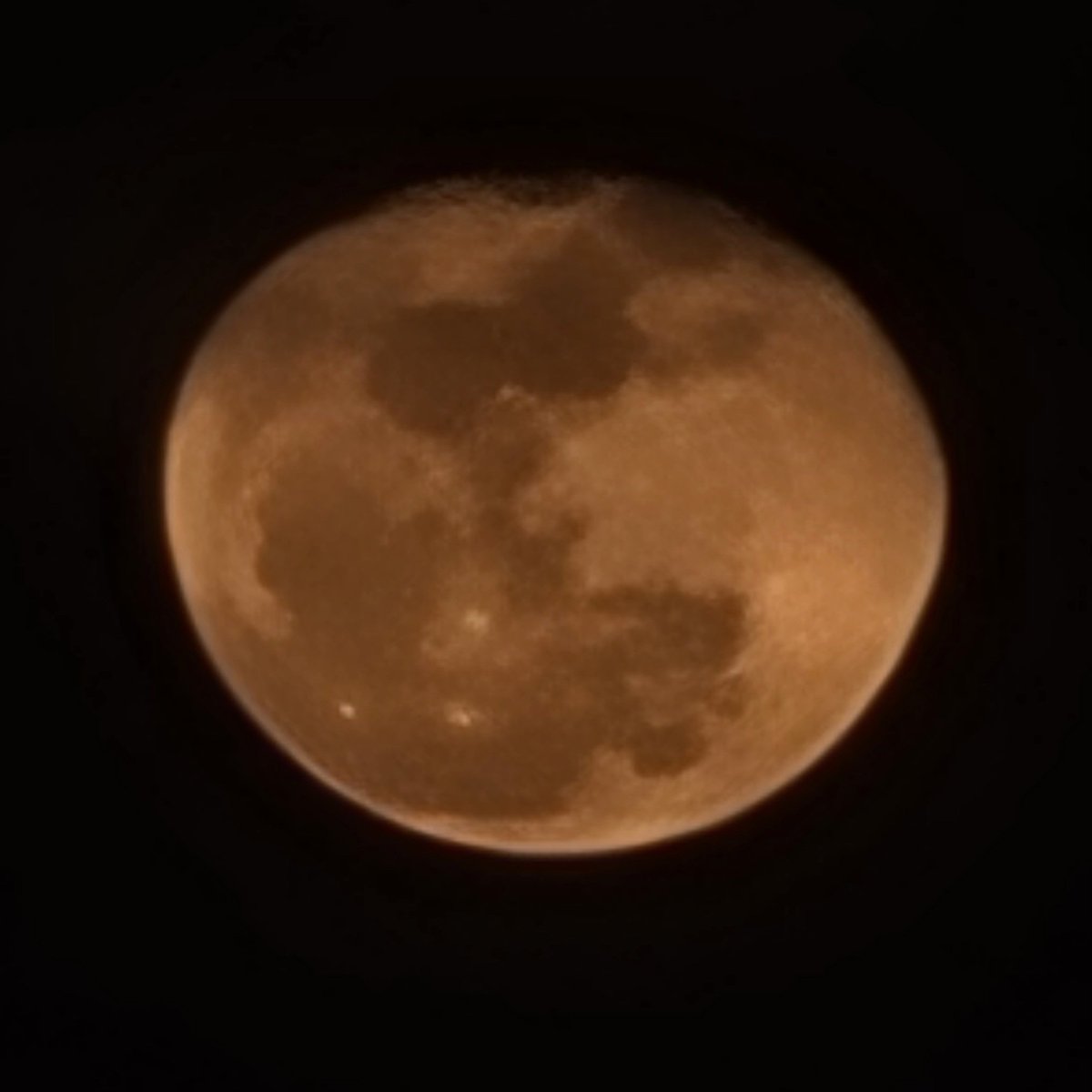 Kristy Steward tweet media