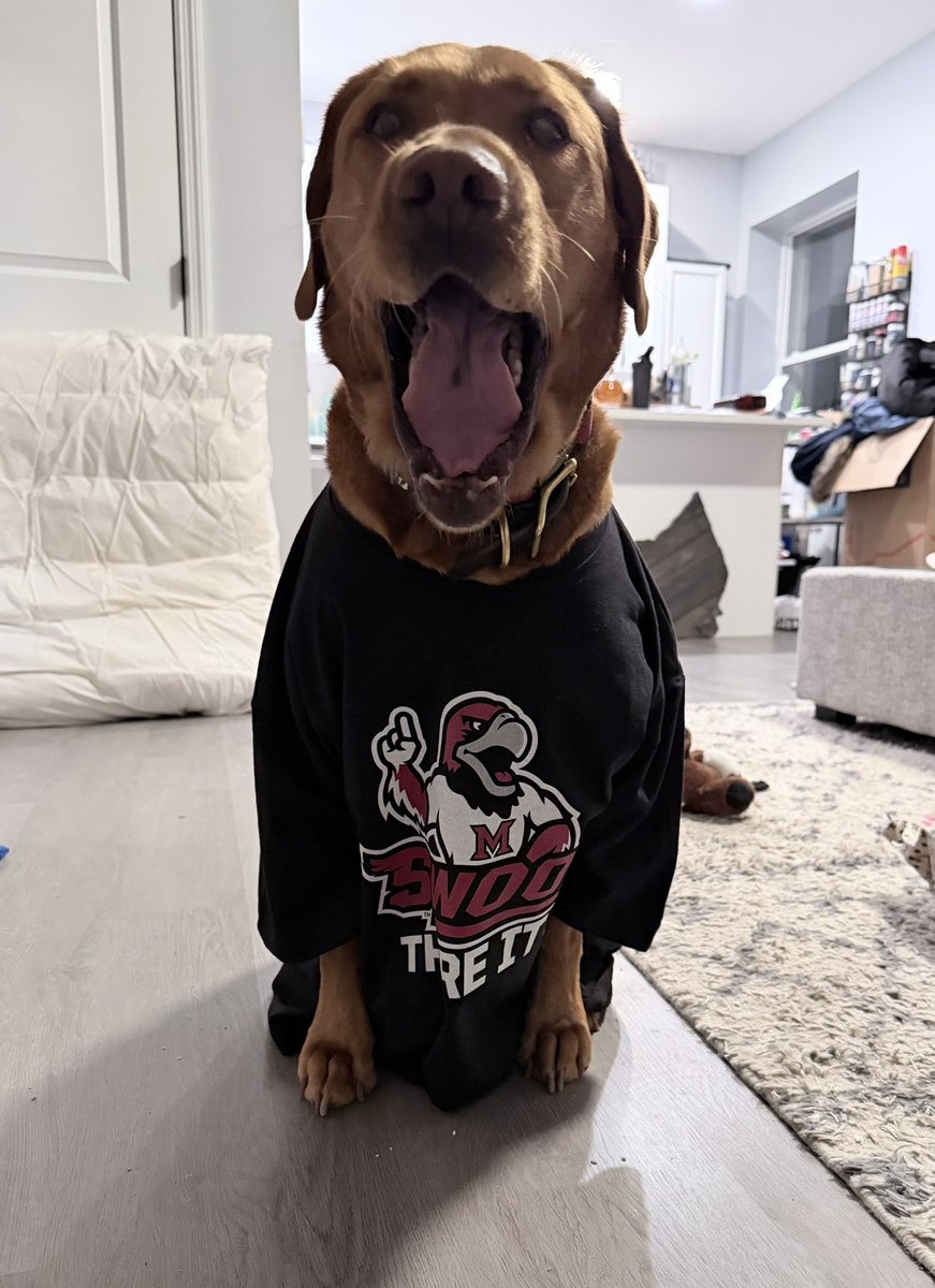 My pup Swoop is a huge fan of <a href="/MiamiRedHawks/">Miami Athletics</a> and <a href="/BreakingT/">BreakingT</a> #LoveandHonor