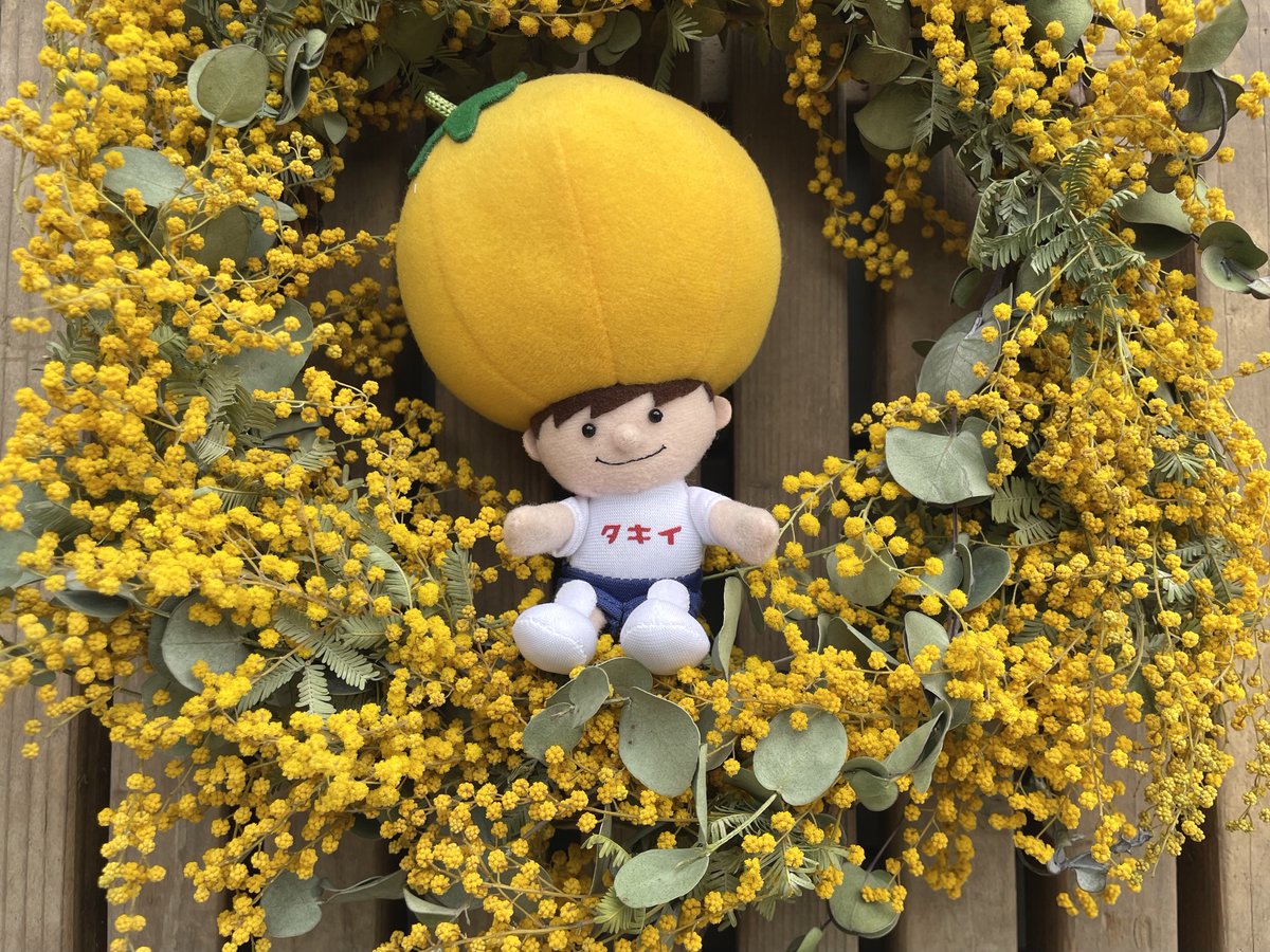 ?#タキットくん のお散歩 ふんわりぽわぽわっとした 黄色のお花を 