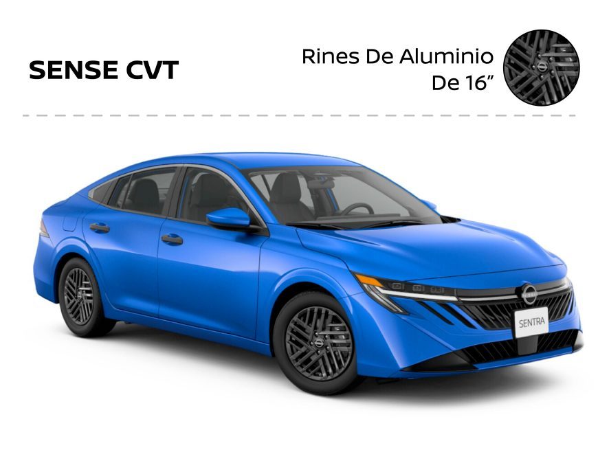 Tu Coche! con Alex tweet media