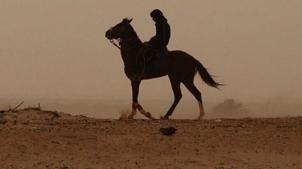 عسى ذكرنا لافك باب حديث ودار
يقلّط بـ نعم ويكرم بـ حي ذا الطاري

خلقنا كبار وبـ إذن ربي بـ نموت كبار
نحاضي على سمعة بني عم ونداري

شيم روسنا ماهي بـ سلعه للاستثمار
ولا وقفت ما بين . . بايع وذا شاري

نساير طريق العز لو هو تعب واخطار
ونخالف طريق الهون لو قالو اجباري