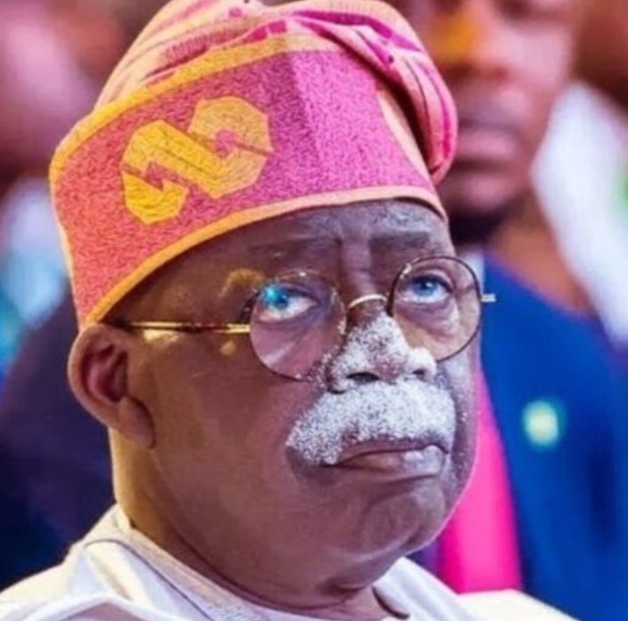 DucP❗️B tweet media