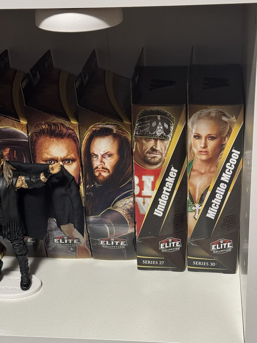 CollectUpDead's tweet photo. Can’t have a complete @undertaker collection without his better half the flawless Mother @McCoolMichelleL!  Rightfully in the Legends line 💅 https://t.co/b5SntRCZ9p