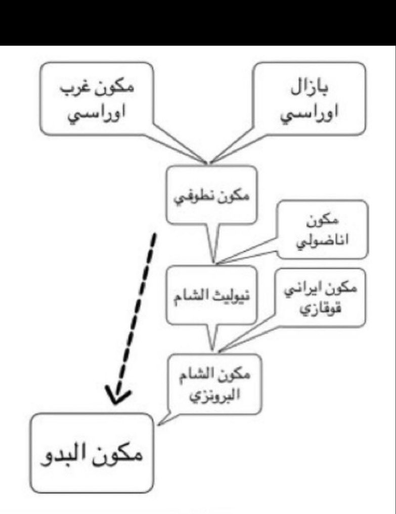 جلمود tweet media