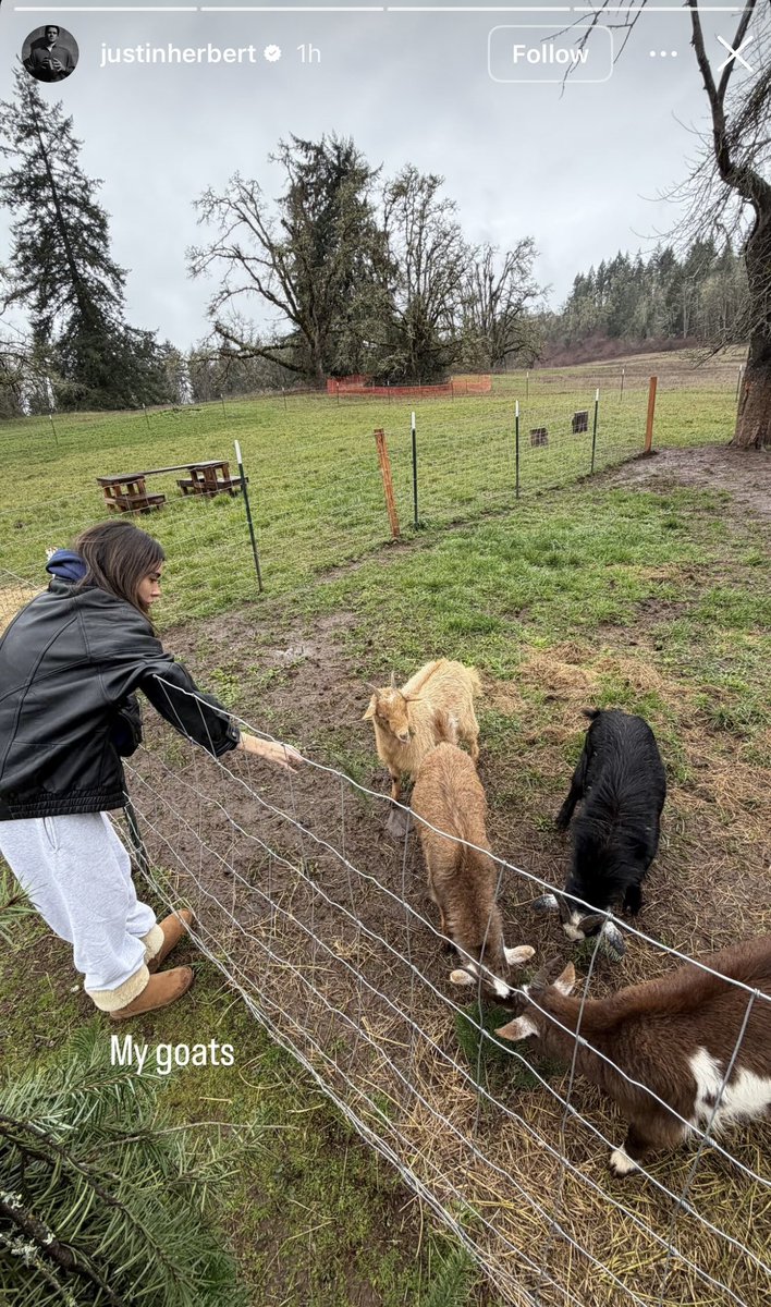 STOP they r SO CUTE 🥹🥹🥹 i love them so happy for mads 💘