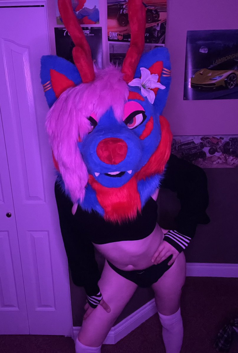 BlueButBig🔞 🔜 LVFC tweet media