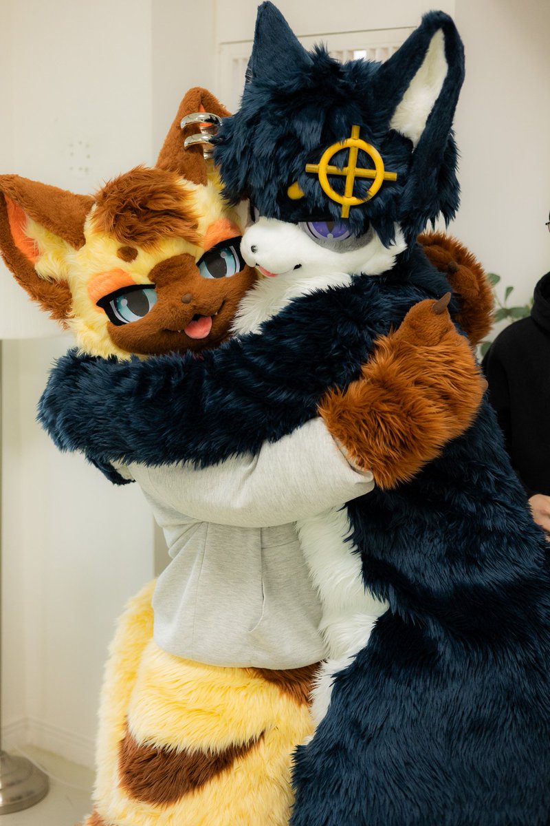 Compass Cat/argo tweet media