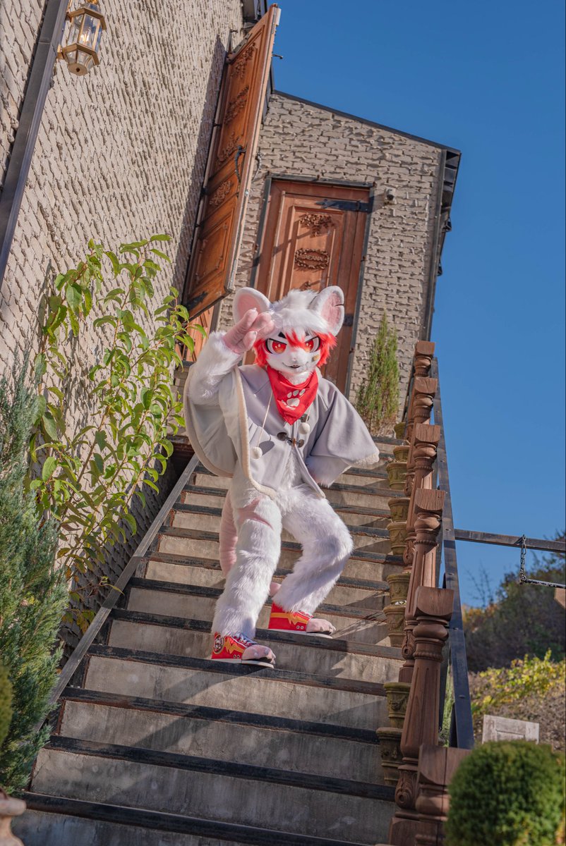 SASU🐭 (@sasu145) on Twitter photo 