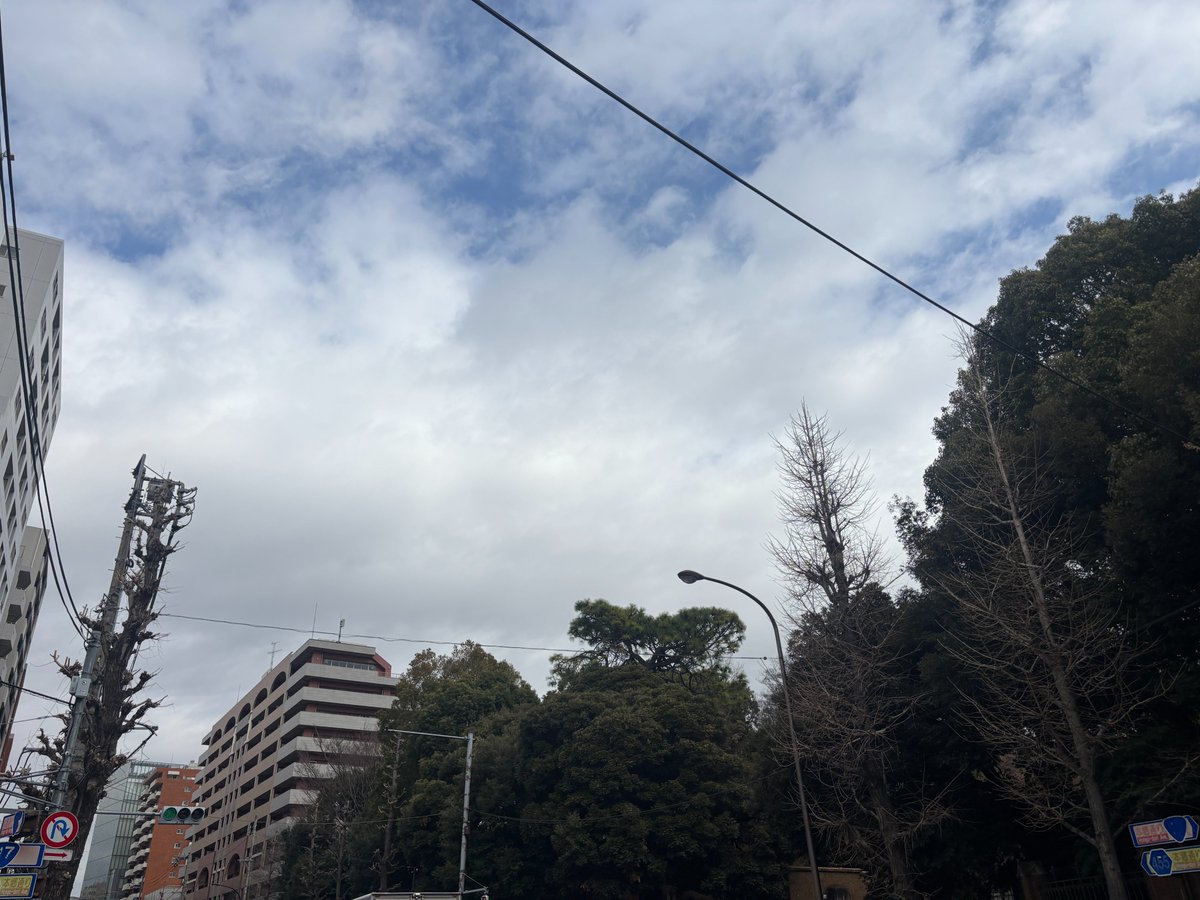 おはようございます✨
今の #文京区 西片の天気は曇り☁気温は9℃

今日は #世界一周記念日 花粉の季節ですね
花粉症ではないですがマスクしています
今日も良い一日を😁

#今日は何の日
#イマソラ
#公式企業が地元の天気を言い合う