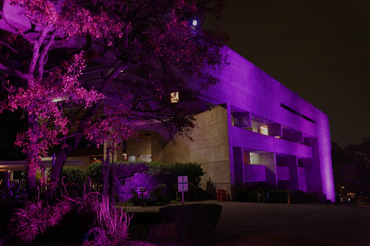 El Colegio de México tweet media