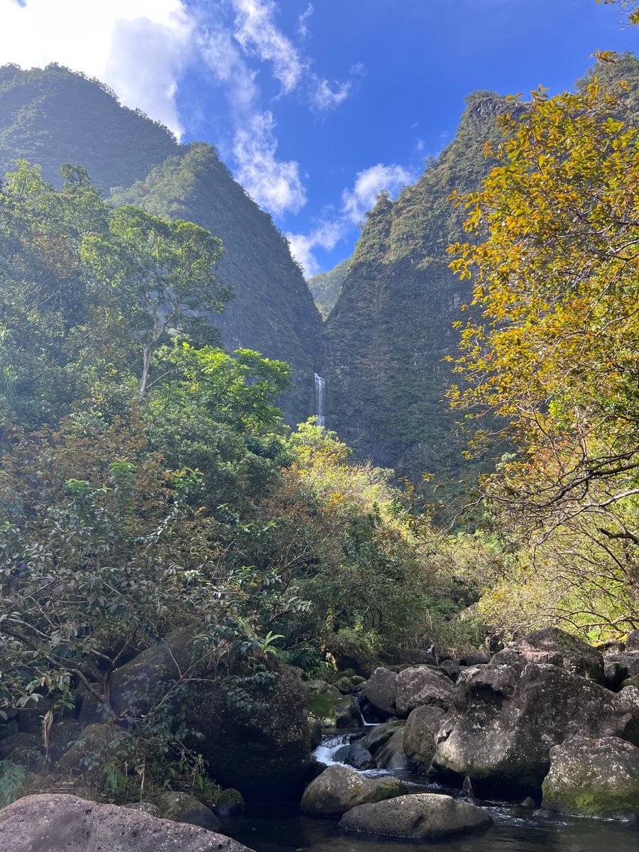 Bryan Naelitz, MD, MS tweet media