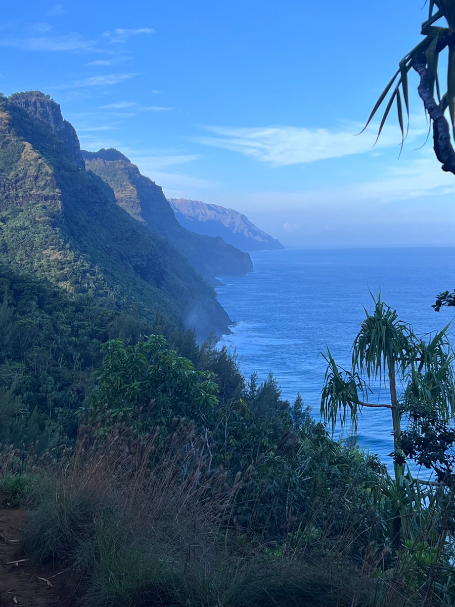 Bryan Naelitz, MD, MS tweet media