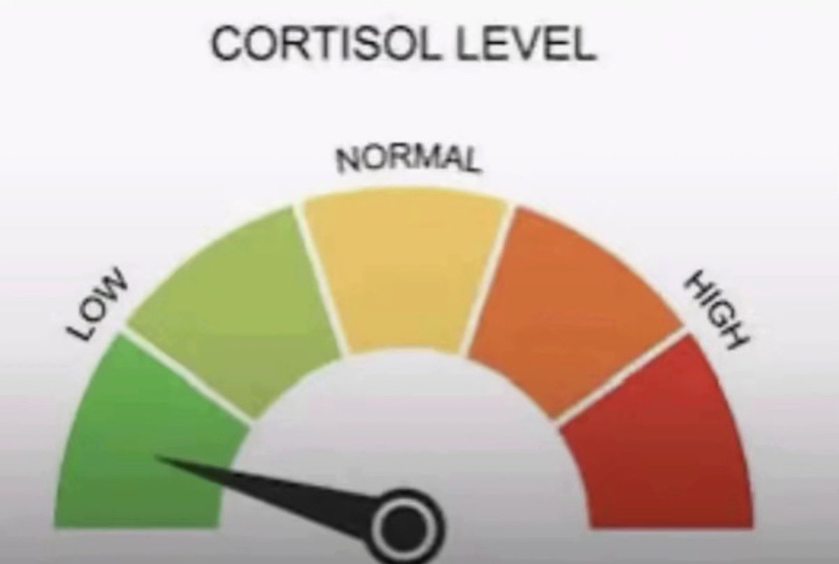 Vazforce tweet media