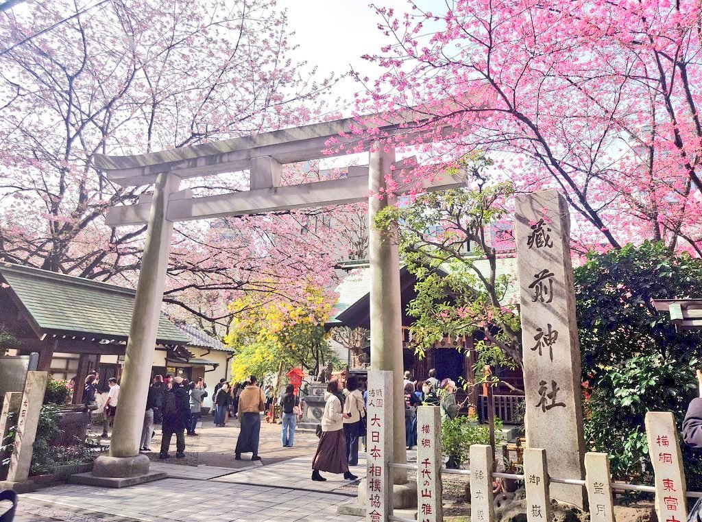 ちゃた tweet media