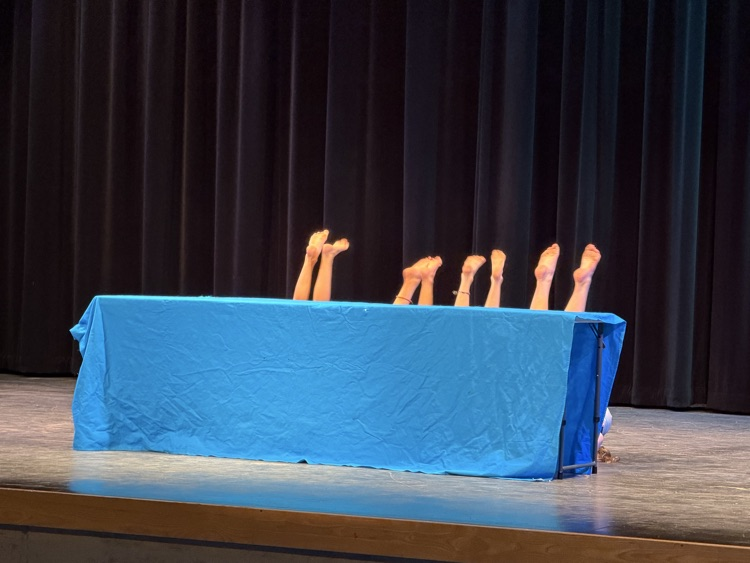 Congratulations to the fun, skilled, &amp; brave performers at the Alpine Lakes Talent Show! Thanks also to the parents &amp; staff who made this great evening happen!