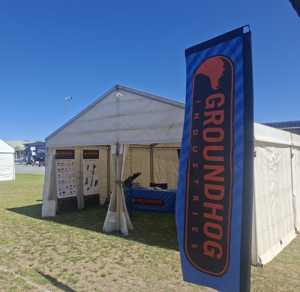 Groundhog tweet media